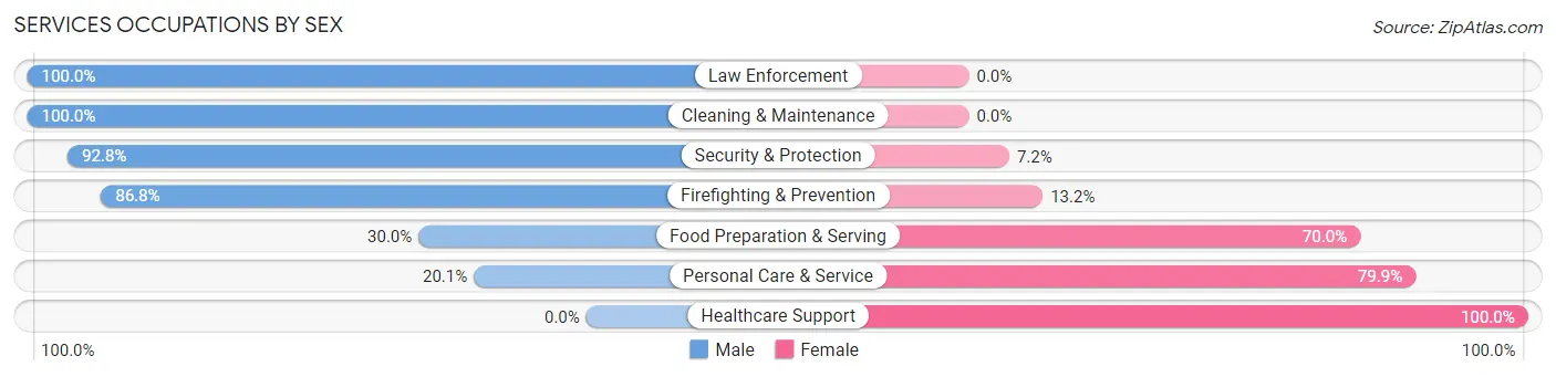 Services Occupations by Sex in Zip Code 02093