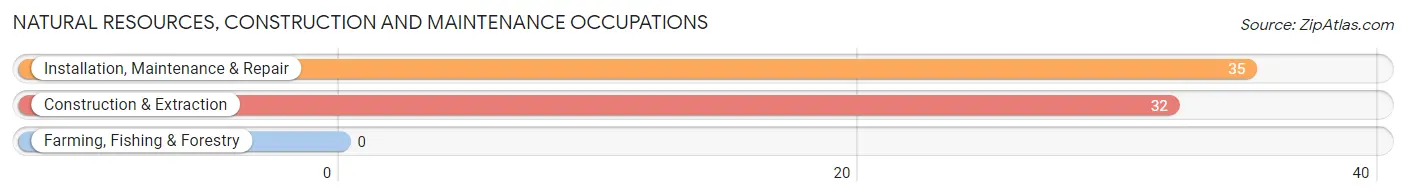 Natural Resources, Construction and Maintenance Occupations in Zip Code 02109