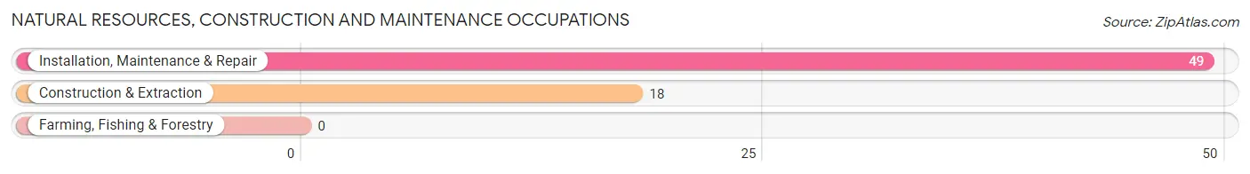 Natural Resources, Construction and Maintenance Occupations in Zip Code 02113