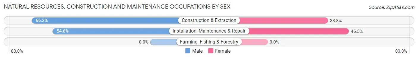 Natural Resources, Construction and Maintenance Occupations by Sex in Zip Code 02115