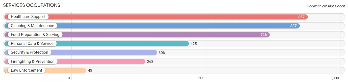 Services Occupations in Zip Code 02119