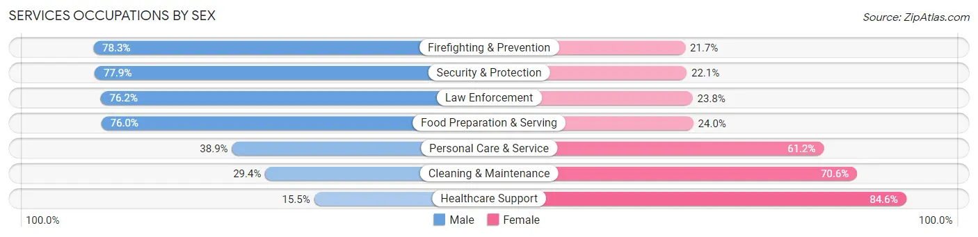 Services Occupations by Sex in Zip Code 02127