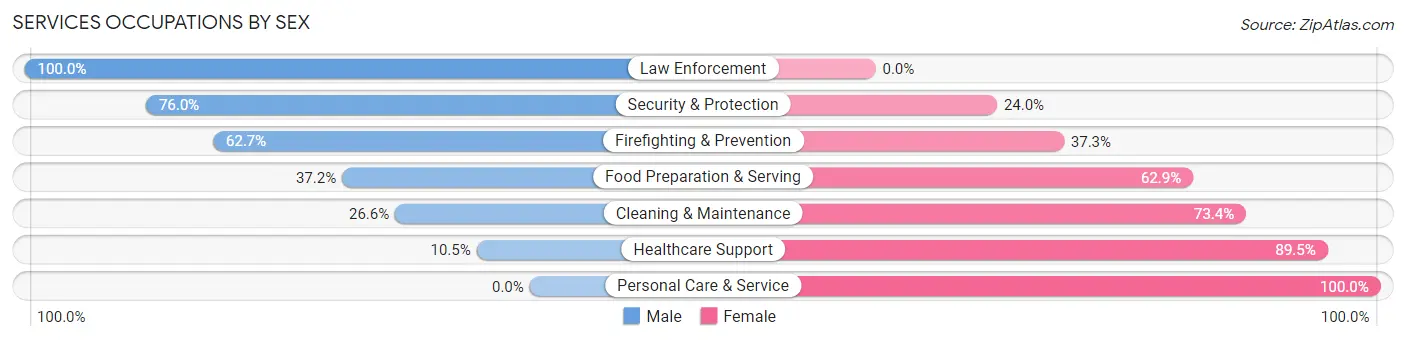 Services Occupations by Sex in Zip Code 02129
