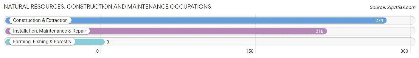 Natural Resources, Construction and Maintenance Occupations in Zip Code 02186