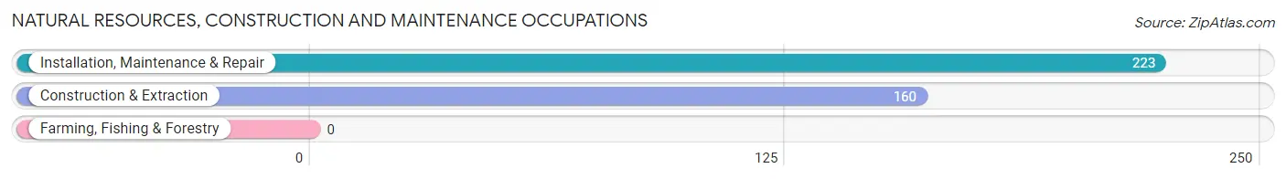 Natural Resources, Construction and Maintenance Occupations in Zip Code 02191