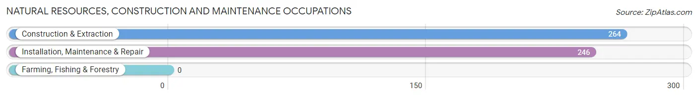 Natural Resources, Construction and Maintenance Occupations in Zip Code 02339