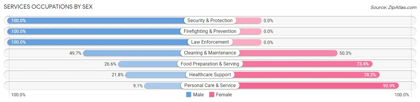 Services Occupations by Sex in Zip Code 02382