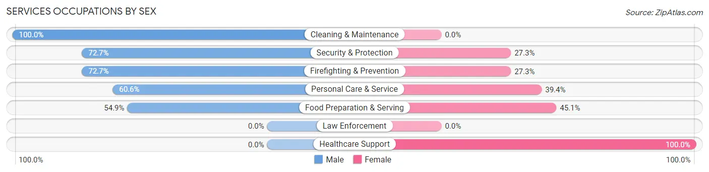 Services Occupations by Sex in Zip Code 02420