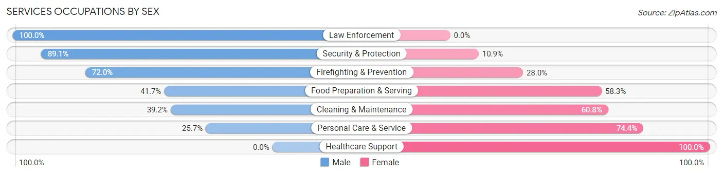 Services Occupations by Sex in Zip Code 02458