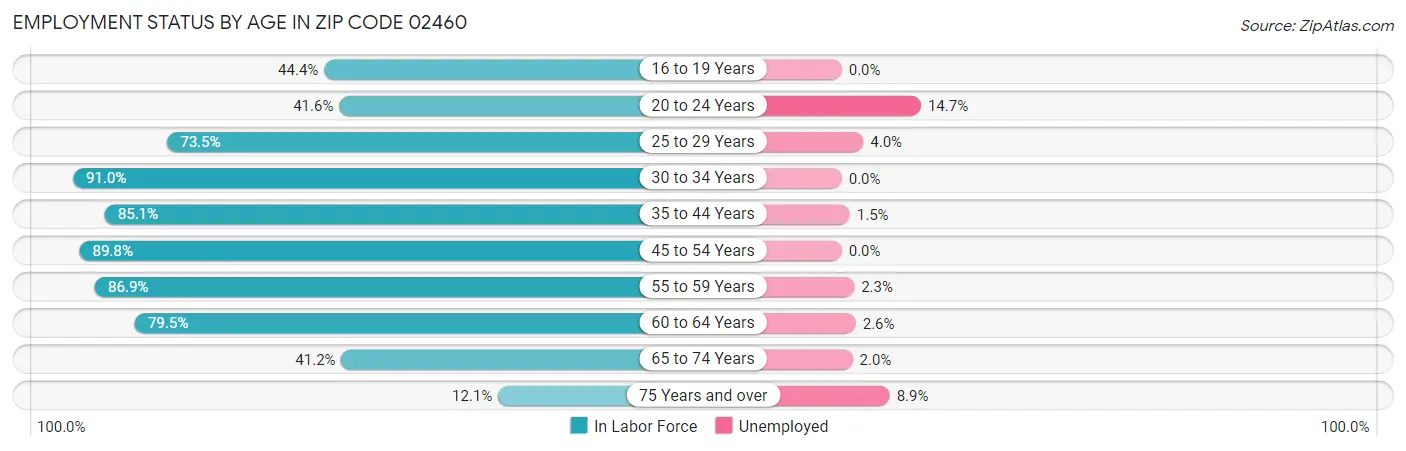 Employment Status by Age in Zip Code 02460