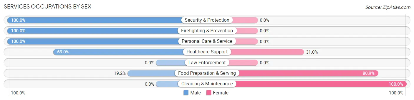 Services Occupations by Sex in Zip Code 02464