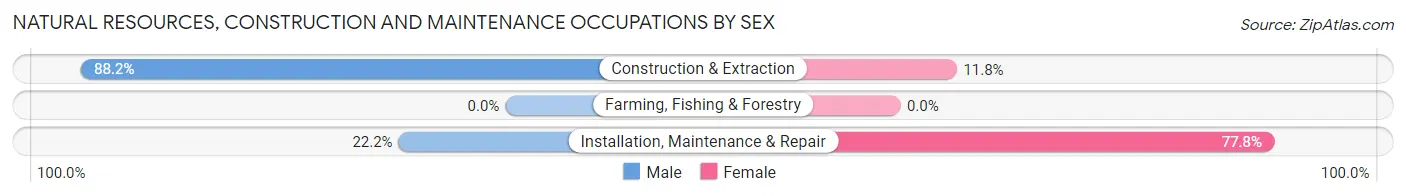 Natural Resources, Construction and Maintenance Occupations by Sex in Zip Code 02467