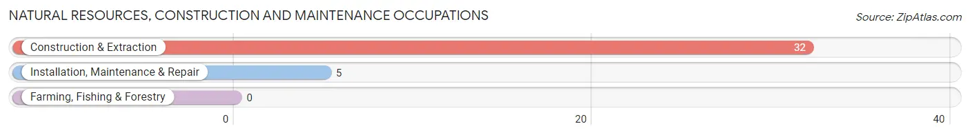 Natural Resources, Construction and Maintenance Occupations in Zip Code 02482