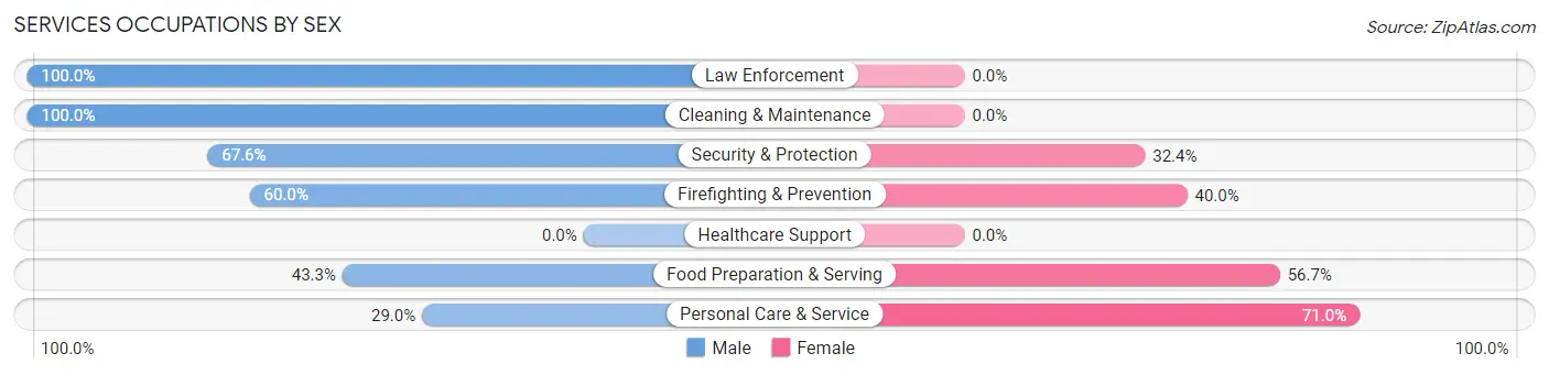 Services Occupations by Sex in Zip Code 02482