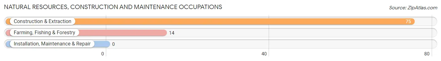 Natural Resources, Construction and Maintenance Occupations in Zip Code 02493