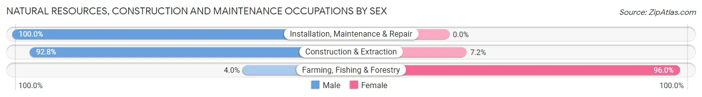 Natural Resources, Construction and Maintenance Occupations by Sex in Zip Code 02631