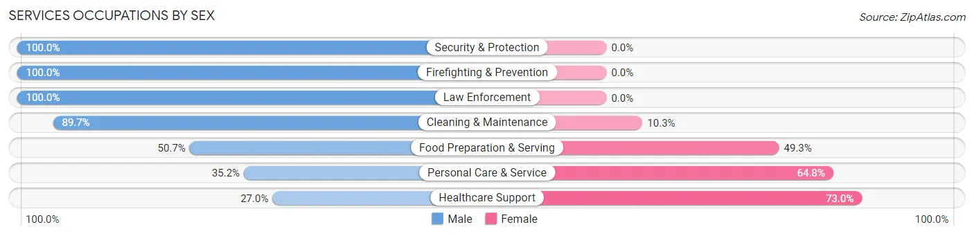 Services Occupations by Sex in Zip Code 02631