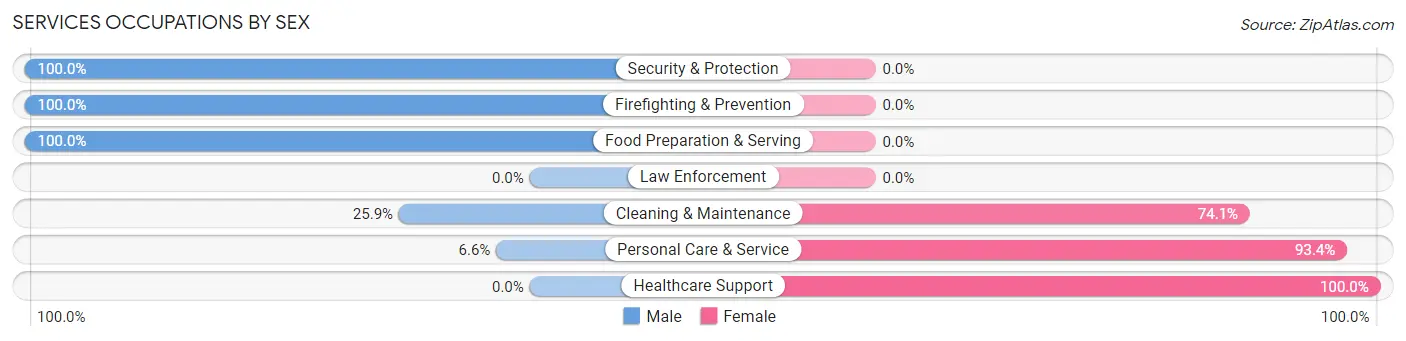 Services Occupations by Sex in Zip Code 02638