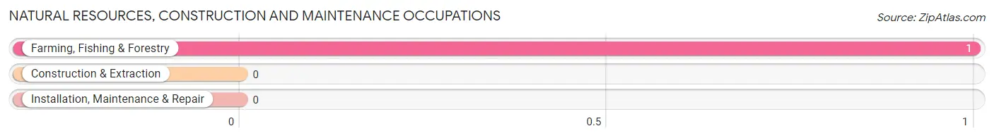 Natural Resources, Construction and Maintenance Occupations in Zip Code 02666