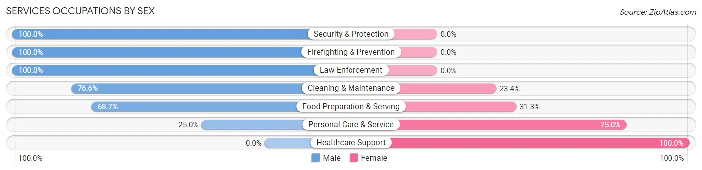 Services Occupations by Sex in Zip Code 02675