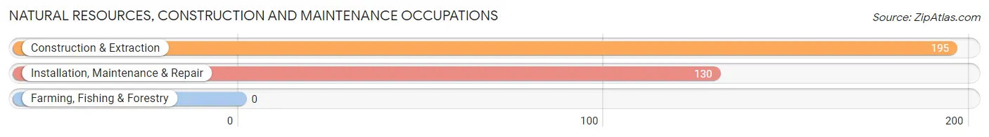 Natural Resources, Construction and Maintenance Occupations in Zip Code 02702