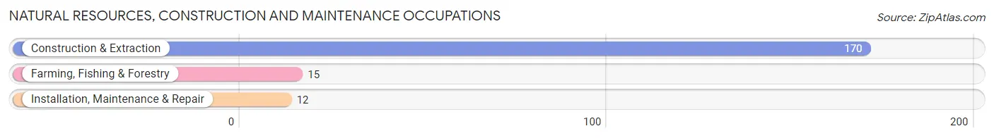 Natural Resources, Construction and Maintenance Occupations in Zip Code 02738