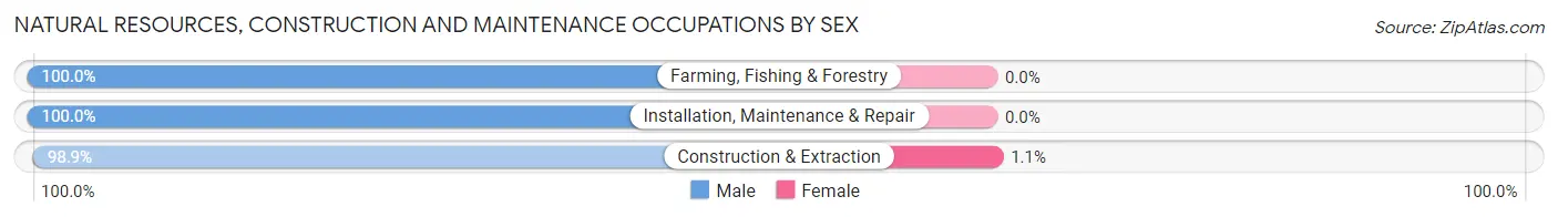 Natural Resources, Construction and Maintenance Occupations by Sex in Zip Code 02743