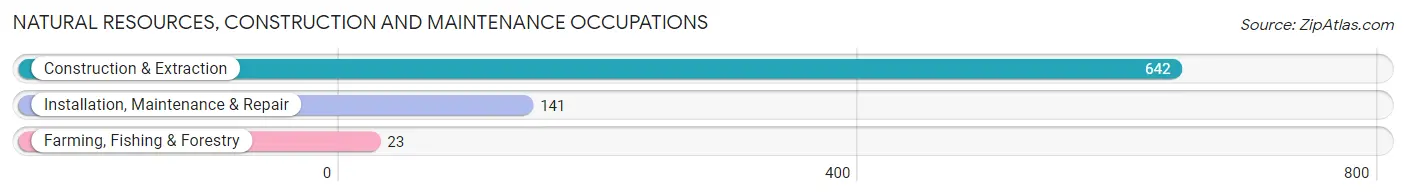 Natural Resources, Construction and Maintenance Occupations in Zip Code 02762