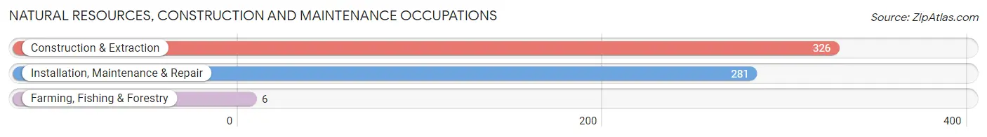 Natural Resources, Construction and Maintenance Occupations in Zip Code 02766