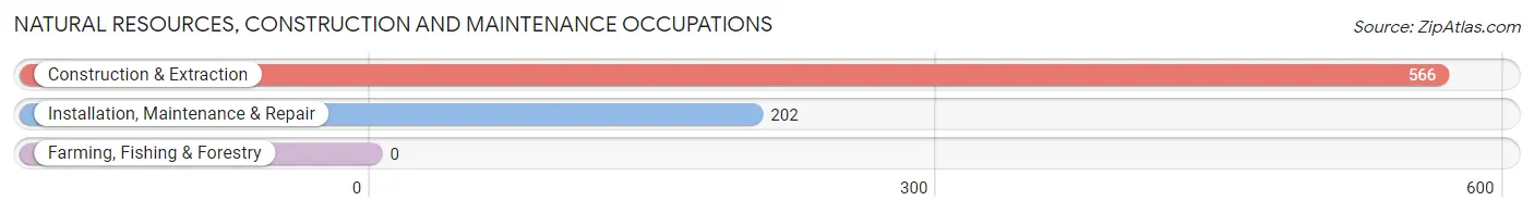 Natural Resources, Construction and Maintenance Occupations in Zip Code 02767