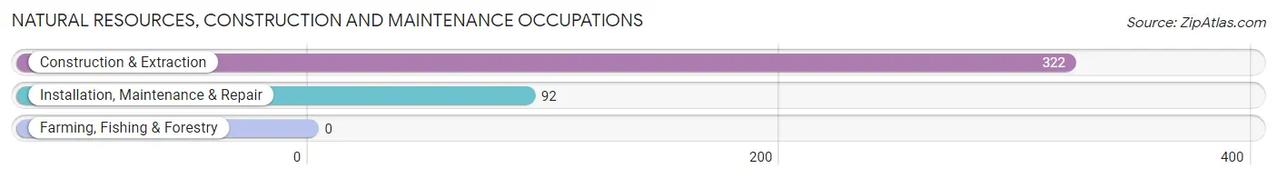 Natural Resources, Construction and Maintenance Occupations in Zip Code 02806