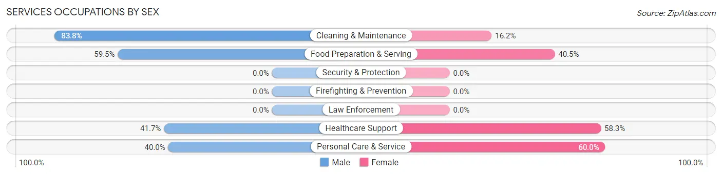 Services Occupations by Sex in Zip Code 02808