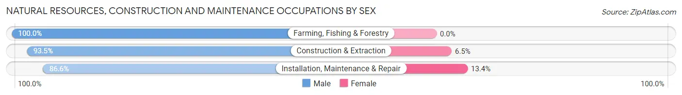 Natural Resources, Construction and Maintenance Occupations by Sex in Zip Code 02809