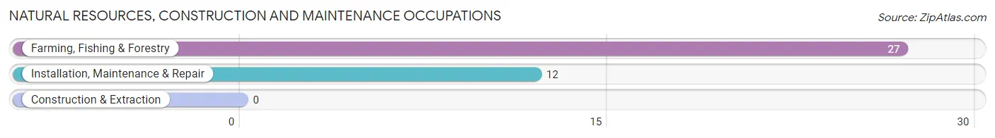 Natural Resources, Construction and Maintenance Occupations in Zip Code 02812