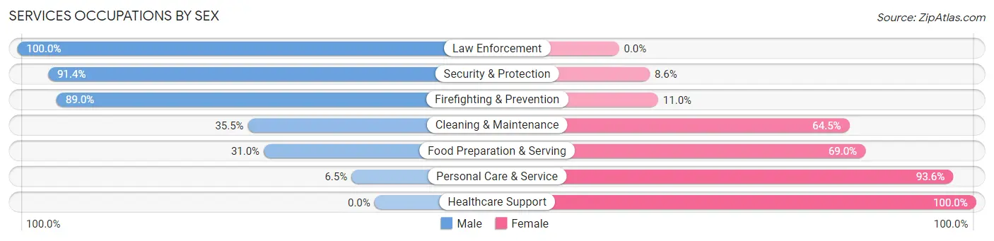 Services Occupations by Sex in Zip Code 02813