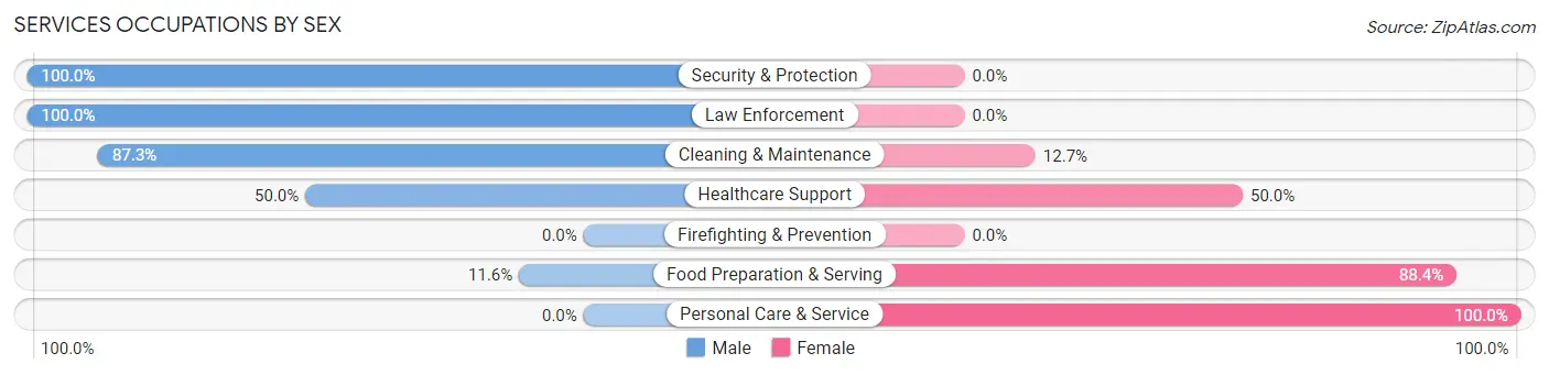 Services Occupations by Sex in Zip Code 02817