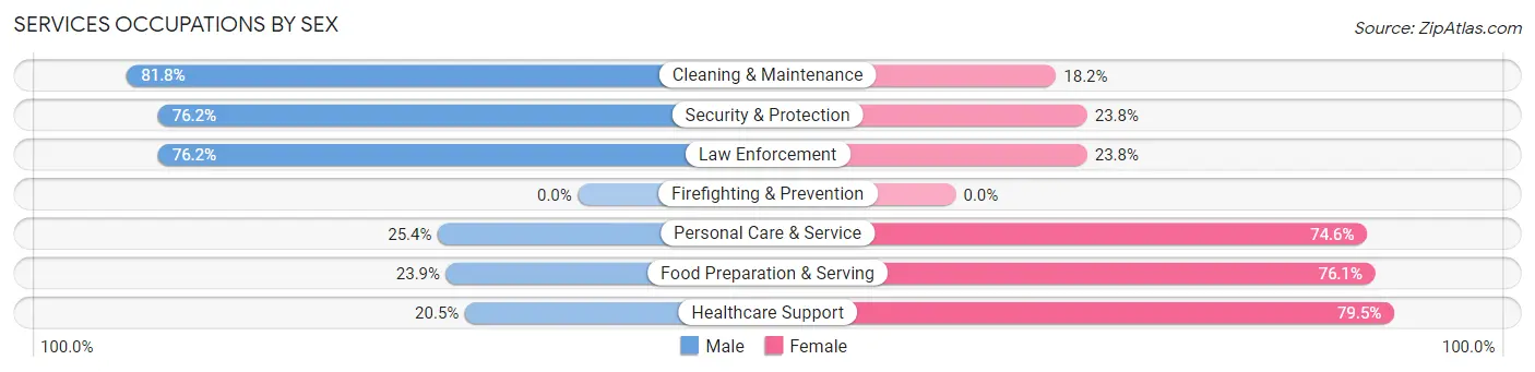 Services Occupations by Sex in Zip Code 02825