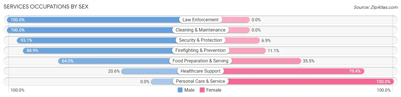 Services Occupations by Sex in Zip Code 02827