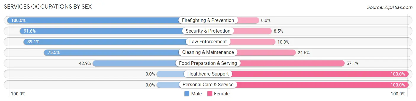 Services Occupations by Sex in Zip Code 02828