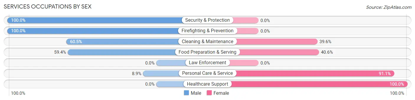 Services Occupations by Sex in Zip Code 02832