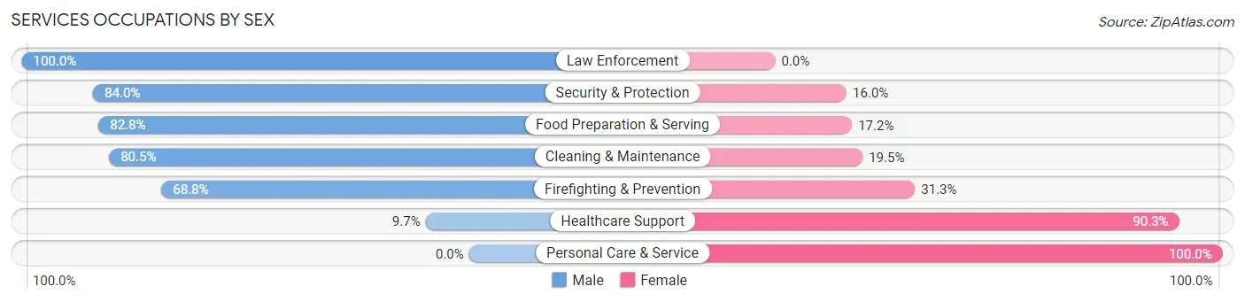 Services Occupations by Sex in Zip Code 02859