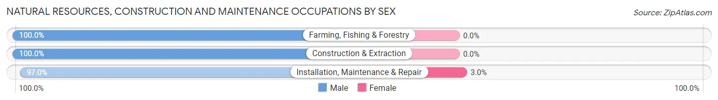 Natural Resources, Construction and Maintenance Occupations by Sex in Zip Code 02863