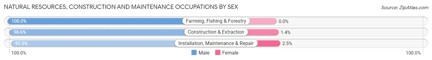 Natural Resources, Construction and Maintenance Occupations by Sex in Zip Code 02864