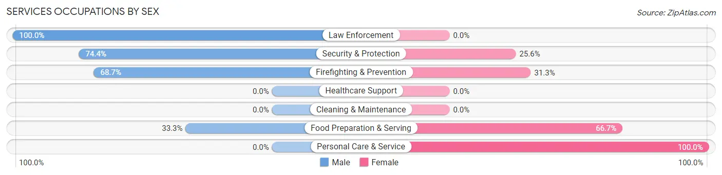 Services Occupations by Sex in Zip Code 02874