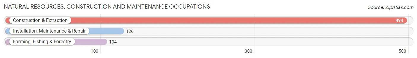 Natural Resources, Construction and Maintenance Occupations in Zip Code 02905