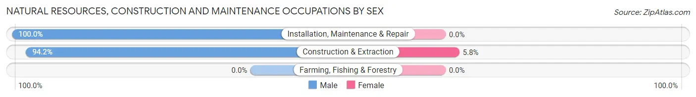 Natural Resources, Construction and Maintenance Occupations by Sex in Zip Code 02909