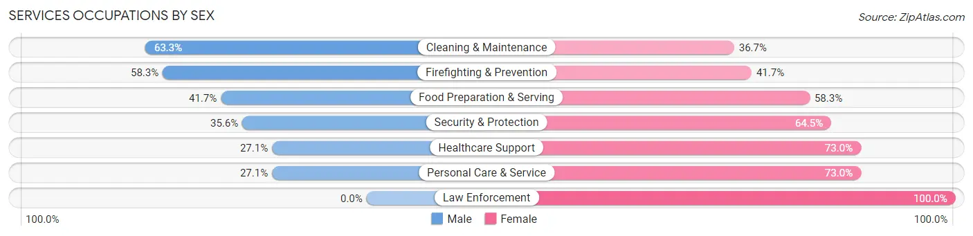 Services Occupations by Sex in Zip Code 02909