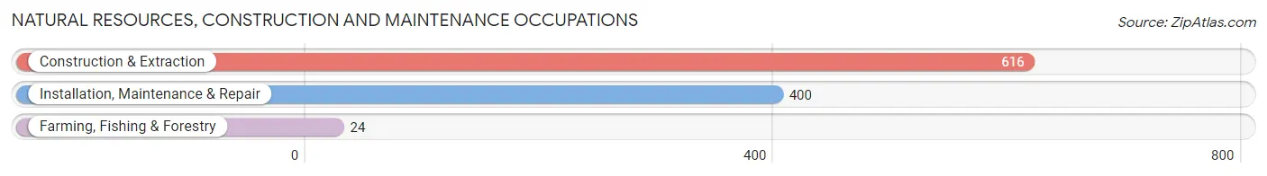 Natural Resources, Construction and Maintenance Occupations in Zip Code 02914