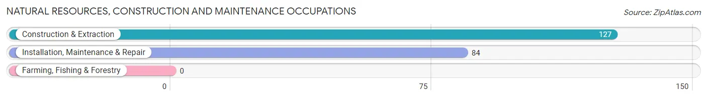 Natural Resources, Construction and Maintenance Occupations in Zip Code 03031