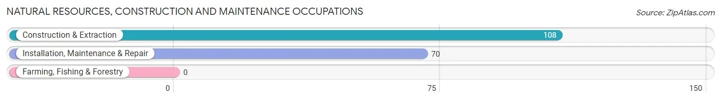 Natural Resources, Construction and Maintenance Occupations in Zip Code 03033